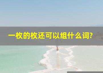 一枚的枚还可以组什么词?