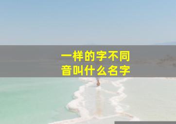 一样的字不同音叫什么名字