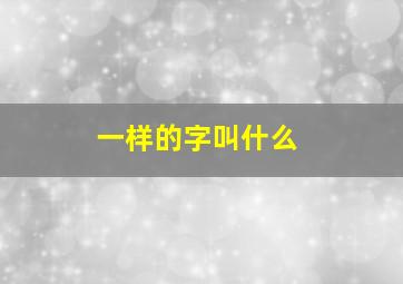 一样的字叫什么