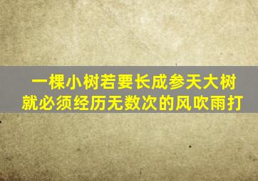 一棵小树若要长成参天大树就必须经历无数次的风吹雨打