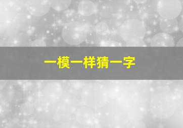 一模一样猜一字