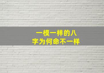 一模一样的八字为何命不一样