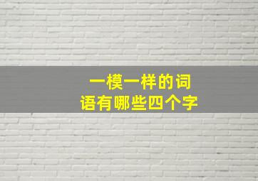 一模一样的词语有哪些四个字