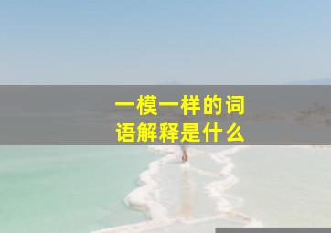 一模一样的词语解释是什么