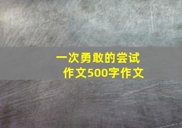 一次勇敢的尝试作文500字作文