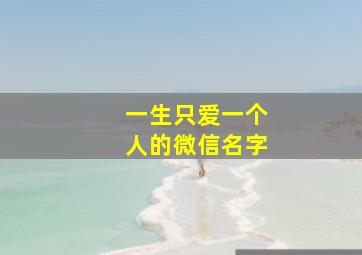 一生只爱一个人的微信名字