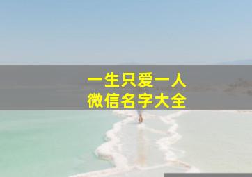 一生只爱一人微信名字大全