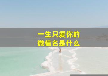 一生只爱你的微信名是什么