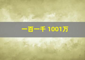 一百一千+1001万