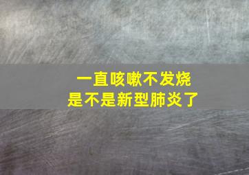 一直咳嗽不发烧是不是新型肺炎了