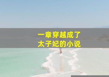 一章穿越成了太子妃的小说