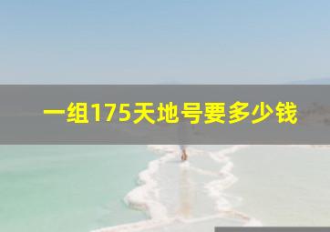 一组175天地号要多少钱