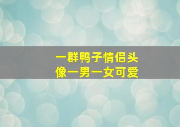 一群鸭子情侣头像一男一女可爱