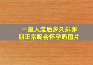 一般人流后多久排卵期正常呢会怀孕吗图片