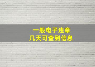 一般电子违章几天可查到信息