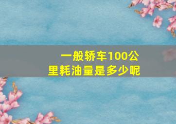 一般轿车100公里耗油量是多少呢