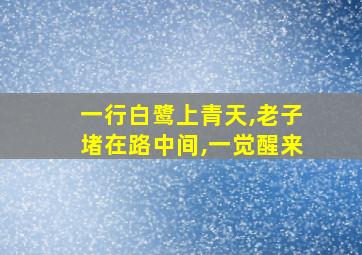 一行白鹭上青天,老子堵在路中间,一觉醒来