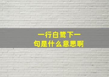 一行白鹭下一句是什么意思啊