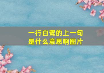 一行白鹭的上一句是什么意思啊图片