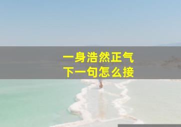 一身浩然正气下一句怎么接