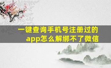 一键查询手机号注册过的app怎么解绑不了微信