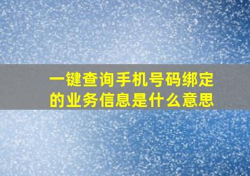 一键查询手机号码绑定的业务信息是什么意思