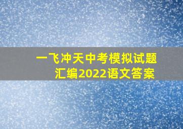 一飞冲天中考模拟试题汇编2022语文答案