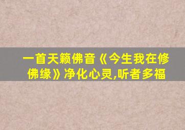 一首天籁佛音《今生我在修佛缘》净化心灵,听者多福