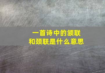 一首诗中的颔联和颈联是什么意思