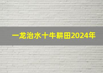 一龙治水十牛耕田2024年