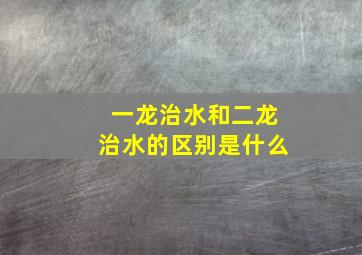 一龙治水和二龙治水的区别是什么