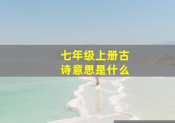 七年级上册古诗意思是什么