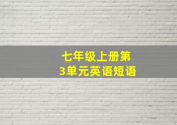 七年级上册第3单元英语短语