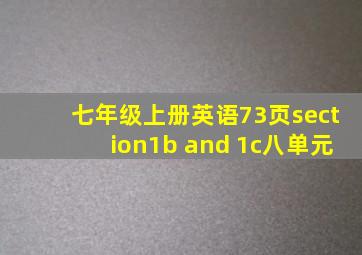 七年级上册英语73页section1b and 1c八单元