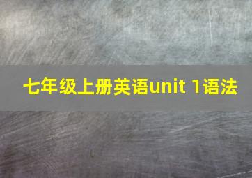 七年级上册英语unit 1语法