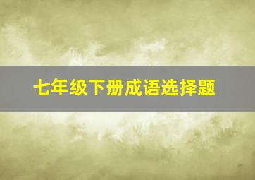 七年级下册成语选择题