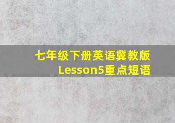 七年级下册英语冀教版Lesson5重点短语