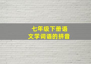 七年级下册语文学词语的拼音