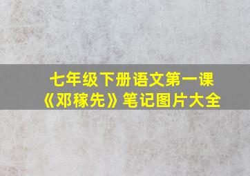 七年级下册语文第一课《邓稼先》笔记图片大全