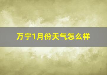 万宁1月份天气怎么样