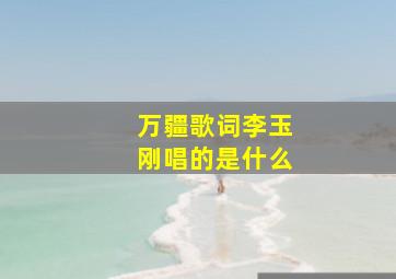 万疆歌词李玉刚唱的是什么