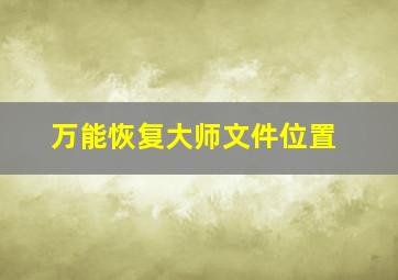 万能恢复大师文件位置