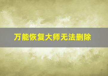 万能恢复大师无法删除