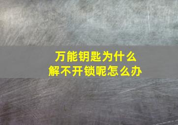 万能钥匙为什么解不开锁呢怎么办