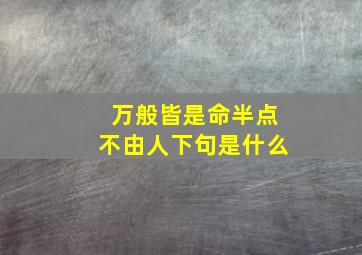 万般皆是命半点不由人下句是什么