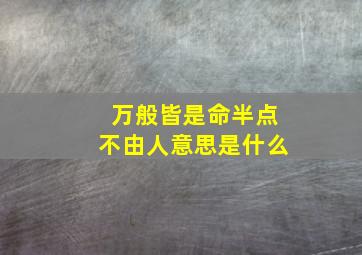 万般皆是命半点不由人意思是什么