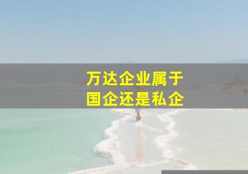 万达企业属于国企还是私企