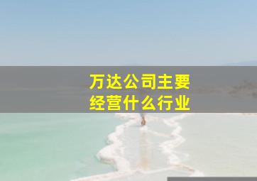 万达公司主要经营什么行业