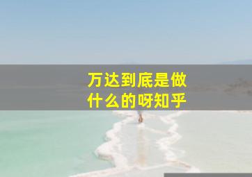 万达到底是做什么的呀知乎