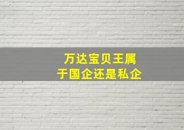 万达宝贝王属于国企还是私企